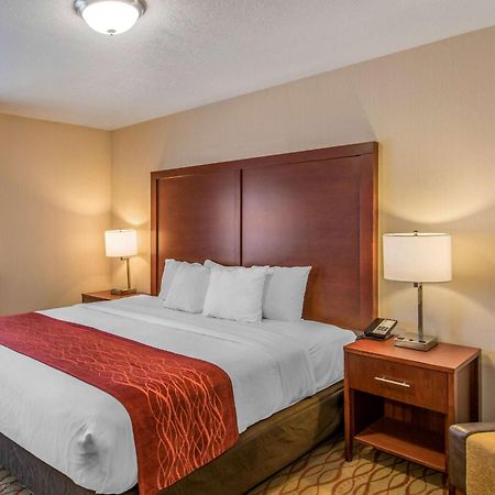 Comfort Inn Mount Shasta Area Weed Exterior foto